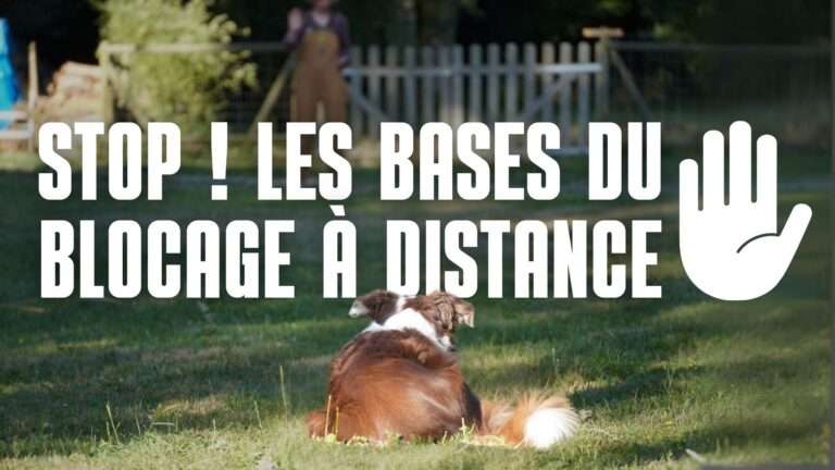 stop blocage a distance