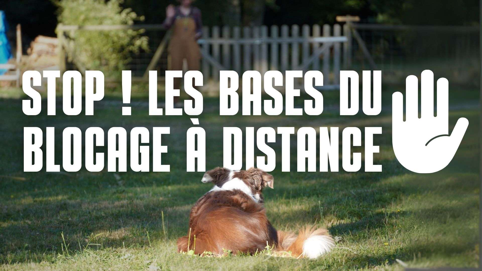 stop blocage a distance