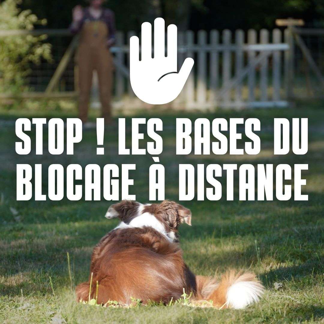 stop ! les bases du blocage à distance