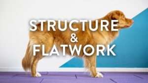 vignette Structure et Flatwork