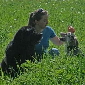 photo4 paysage reduit 300x300 1.jpg