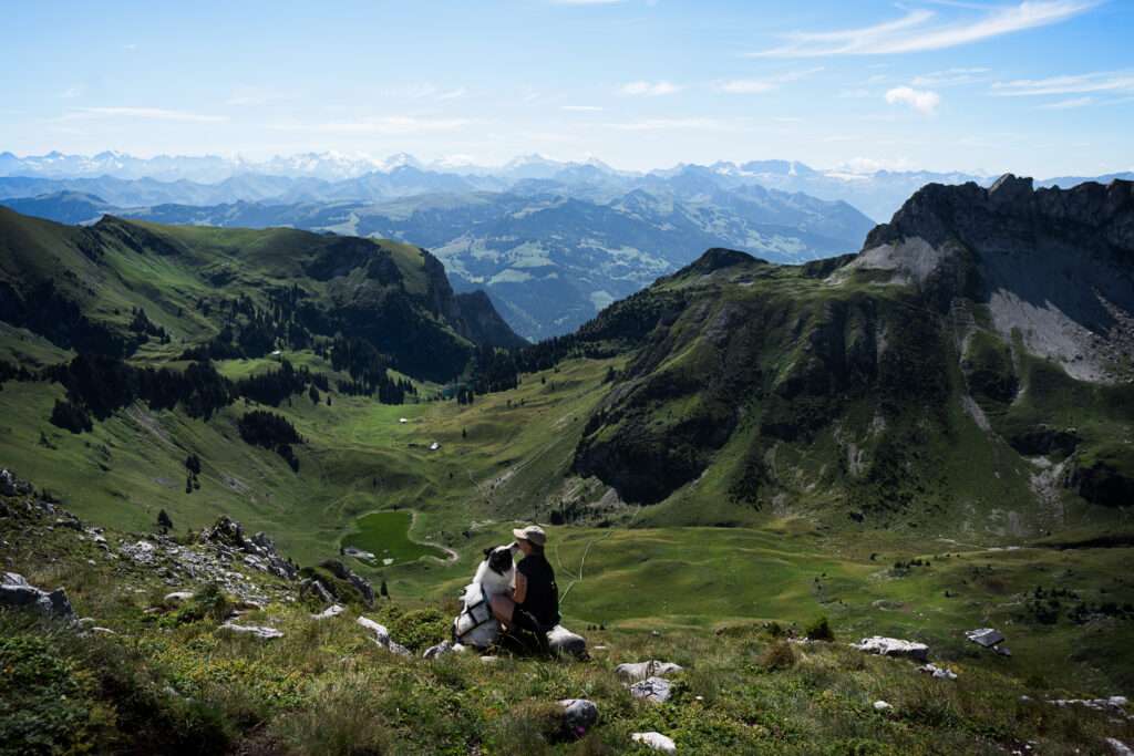  a743249 avec accentuation bruit modifier