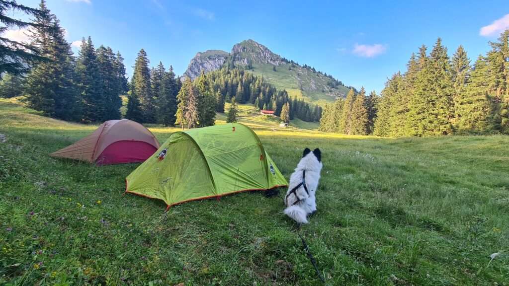 mise en avant tentes installées pour un bivouac