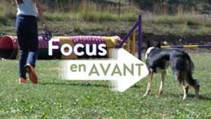FOCUS EN AVANT