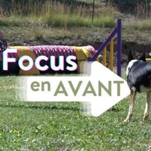 FOCUS EN AVANT