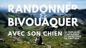 vignette rando et bivouac avec son chien