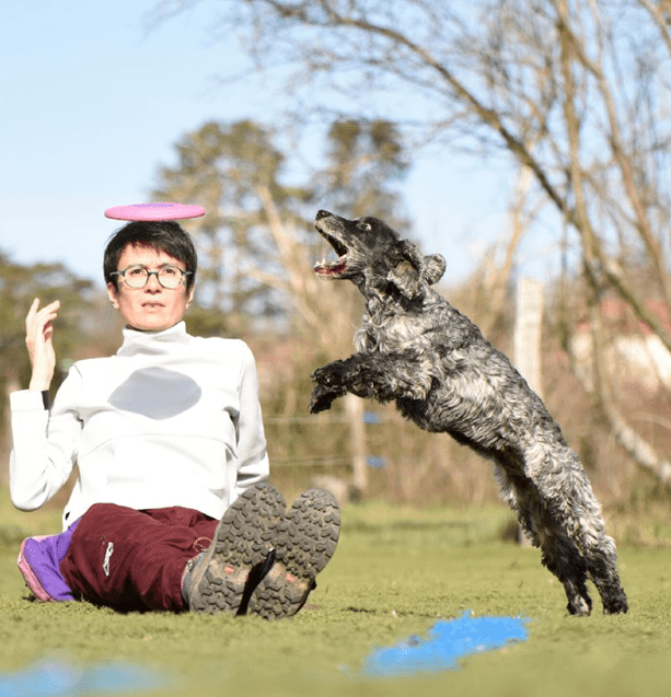 chien qui fait un over en frisbee freestyle 1