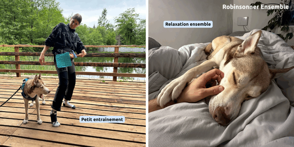 chien qui se détend