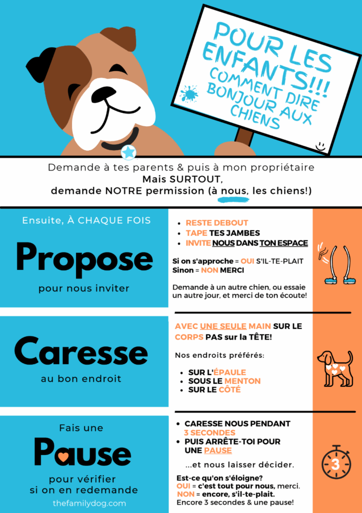 comment dire bonjour aux chiens