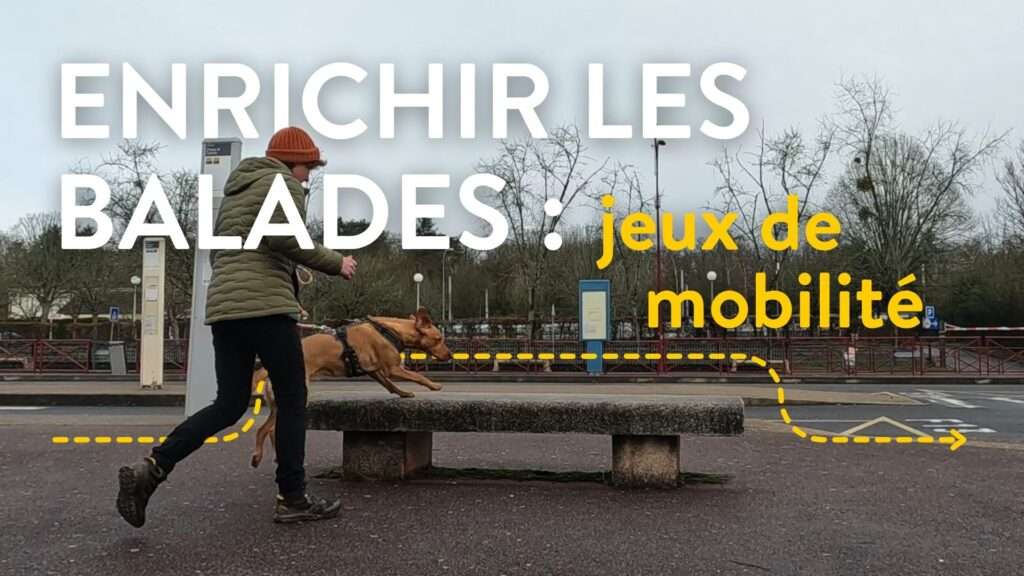 enrichir les balades mobilité