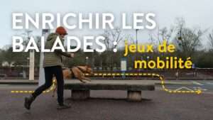 enrichir les balades mobilité