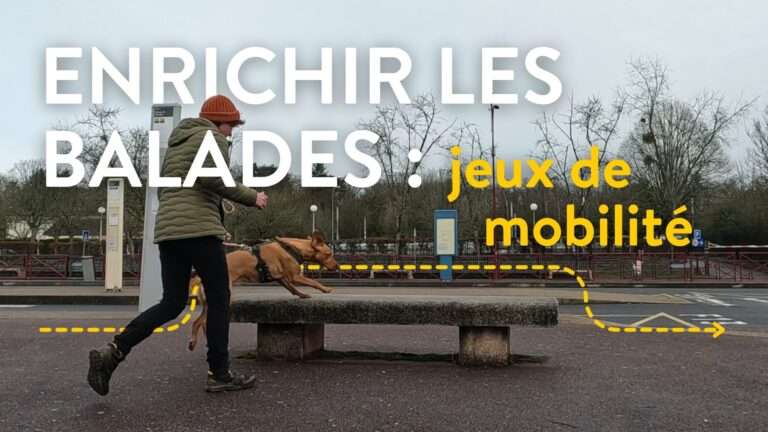 enrichir les balades mobilité