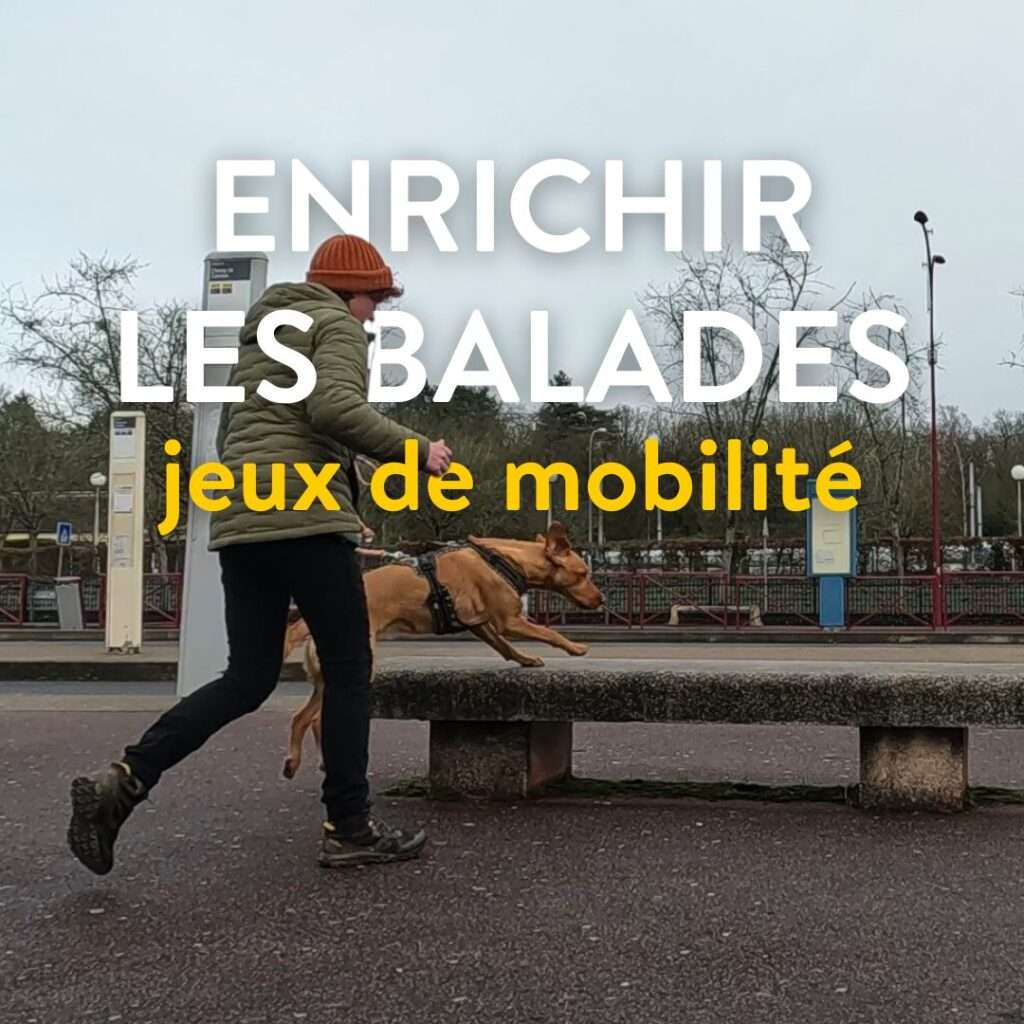 enrichir les balades : jeux de mobilité