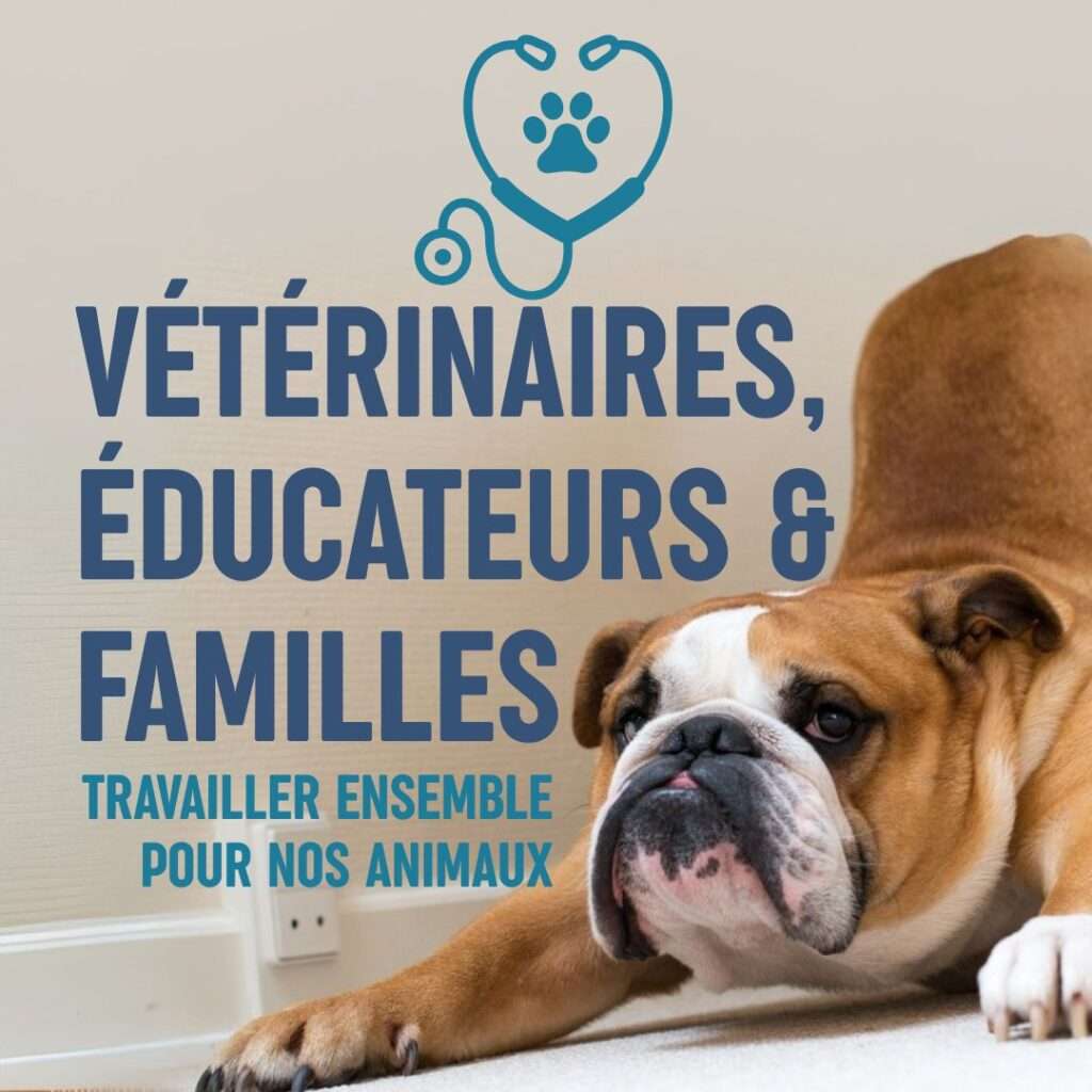 vétérinaires, éducateurs et familles : travailler ensemble pour nos animaux