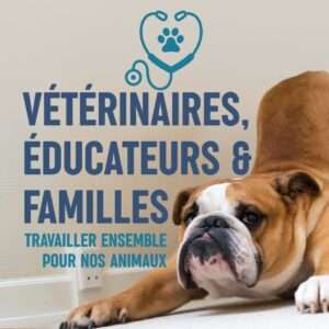 vétérinaires, éducateurs et familles : travailler ensemble pour nos animaux