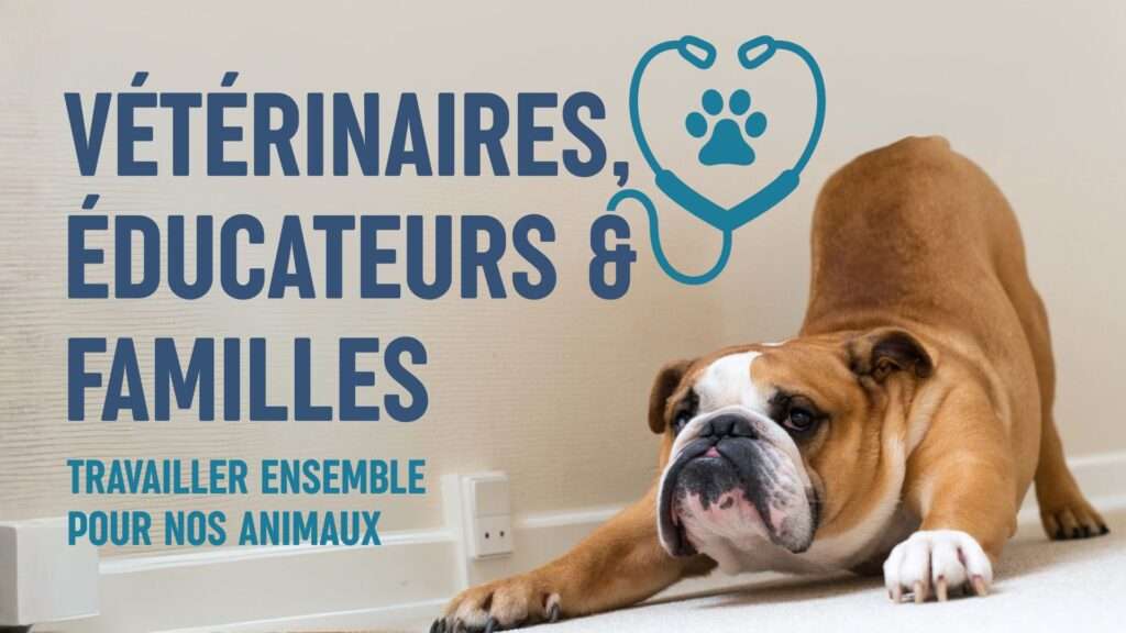 vétérinaires, éducateurs et familles