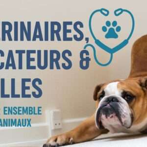 vétérinaires, éducateurs et familles