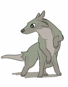 webinaire gratuit • miracle de noël en shaping : soyons créatifs !