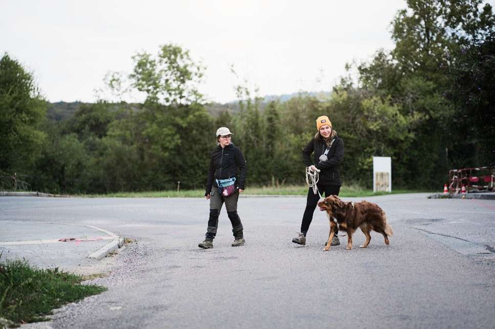 accompagner l’humain dans un protocole de modification des comportements « réactifs » d’un chien