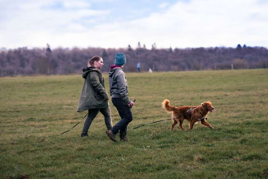 accompagner l’humain dans un protocole de modification des comportements « réactifs » d’un chien