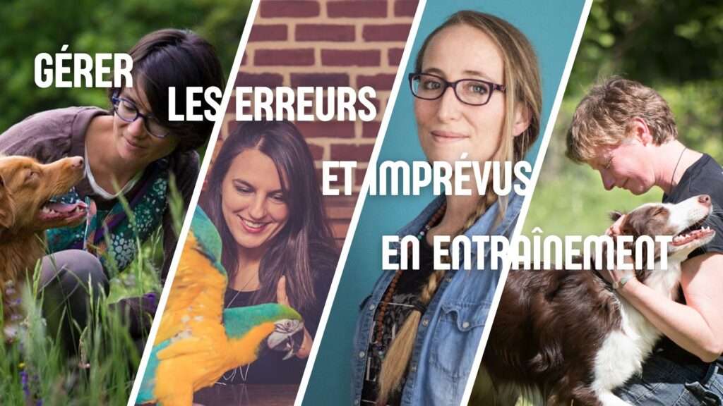 gérer les erreurs et imprévus en entraînement