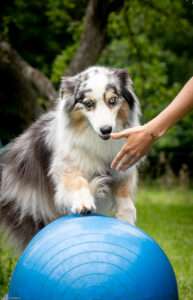 le leurre cet outil incompris