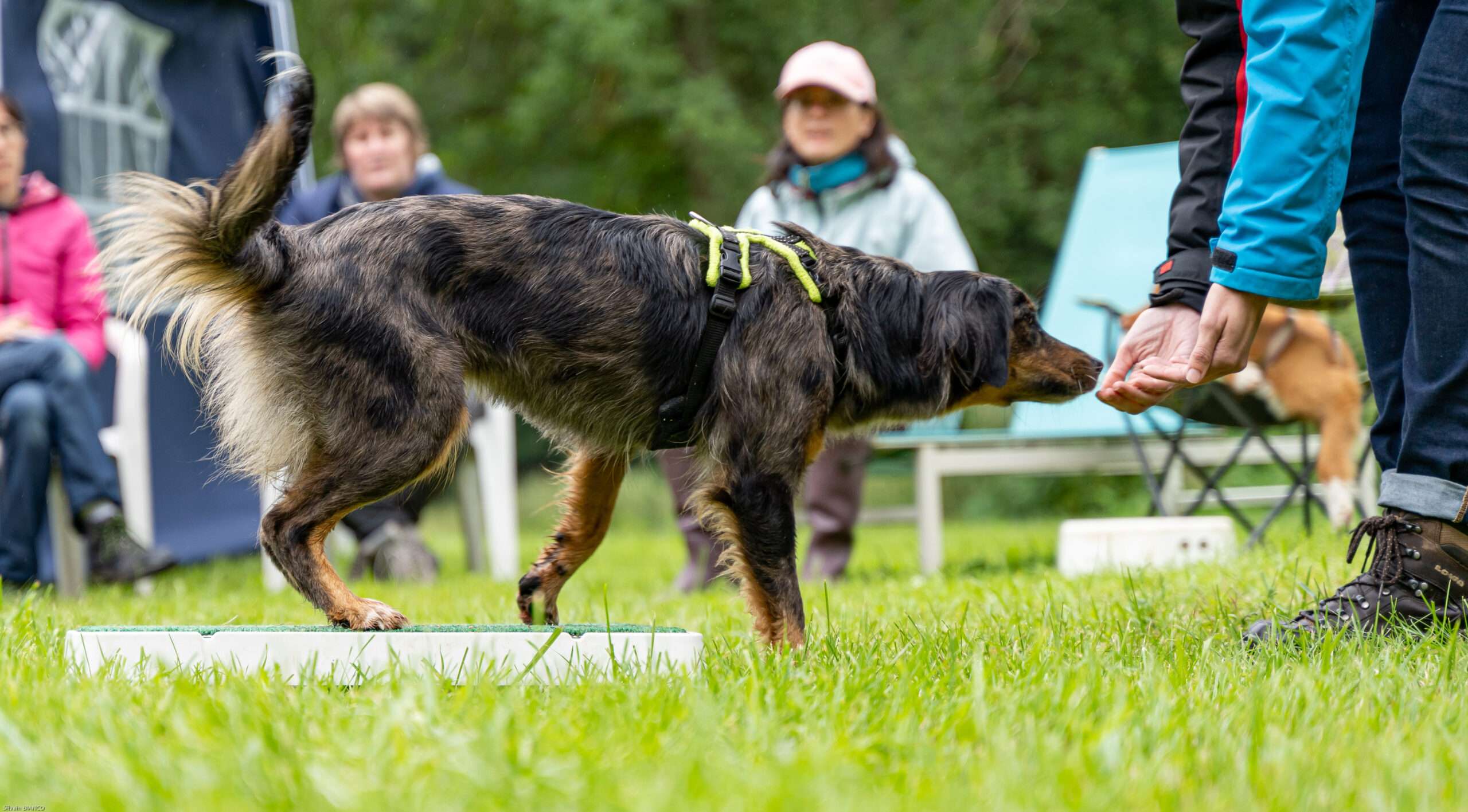 le leurre cet outil incompris