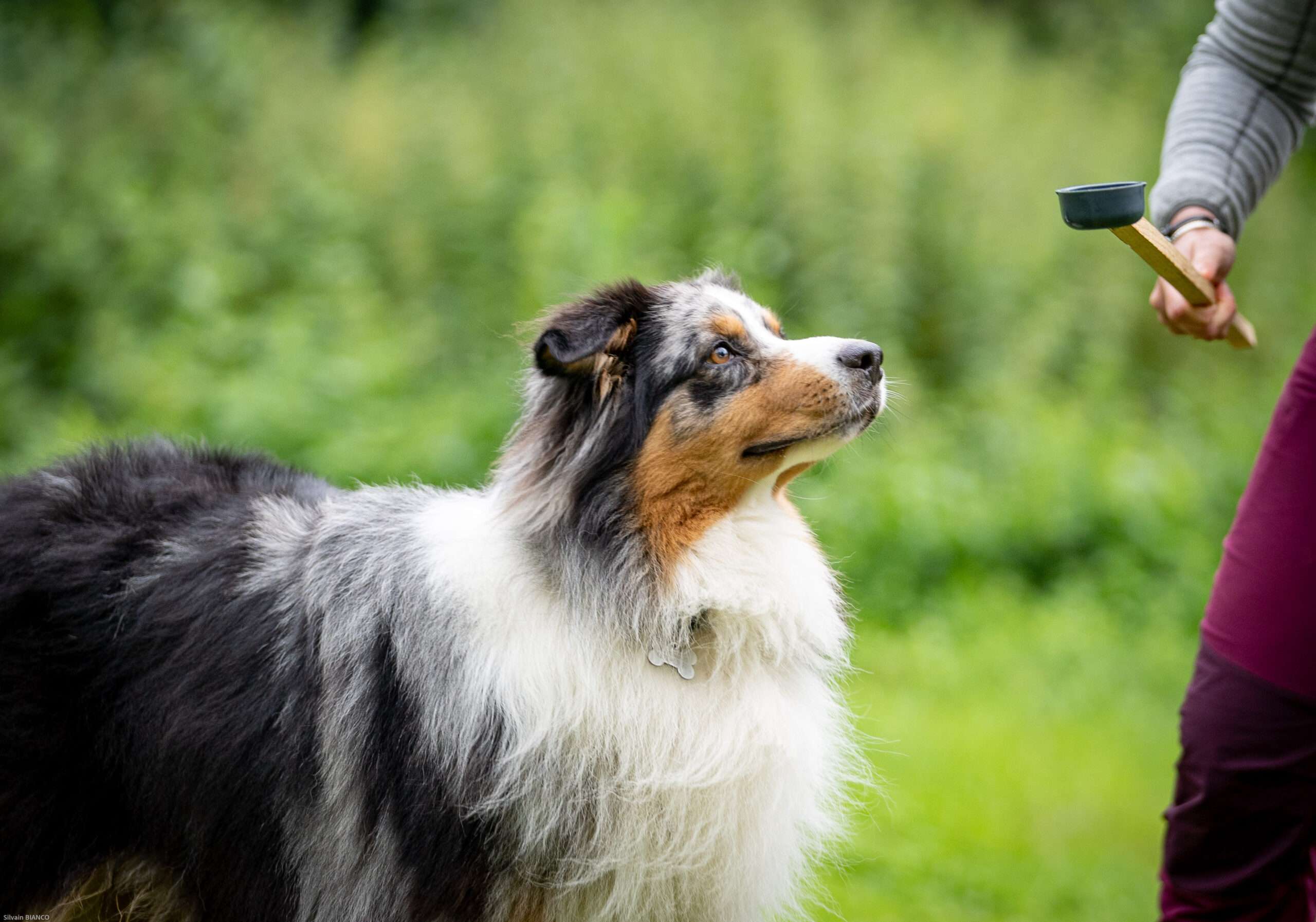 le leurre cet outil incompris