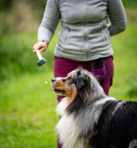 le leurre cet outil incompris