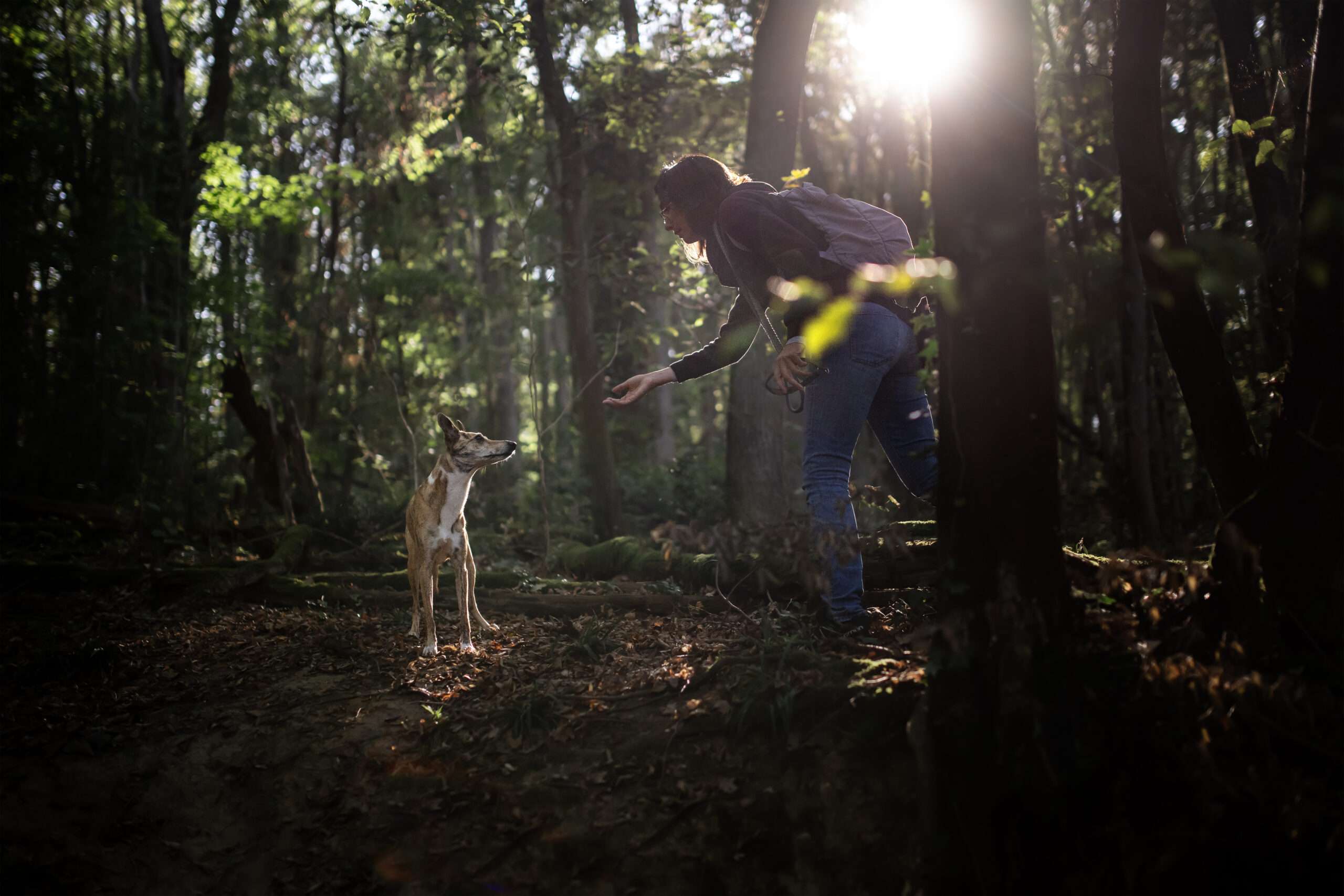 le leurre cet outil incompris