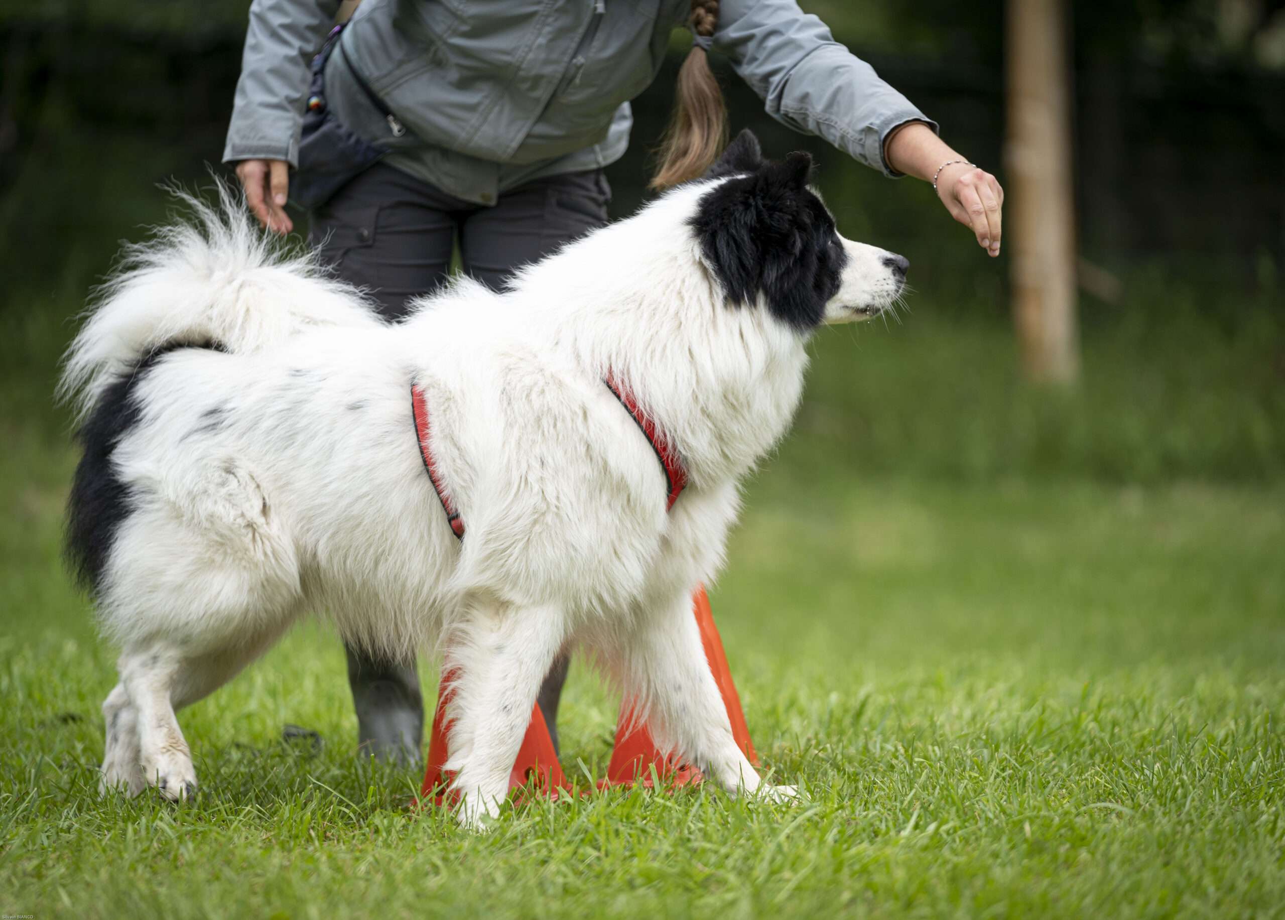 le leurre cet outil incompris