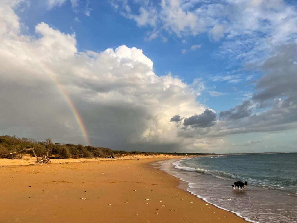 photographier son chien avec son smartphone