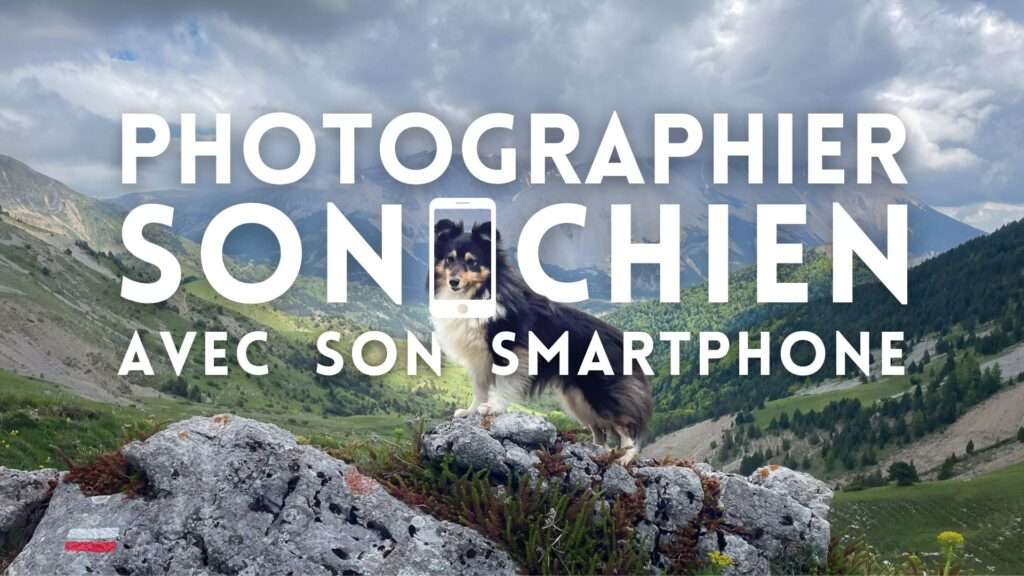 photo chien avec smartphone
