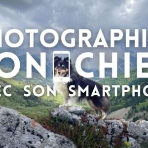 photo chien avec smartphone