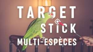 vignette target stick multi especes