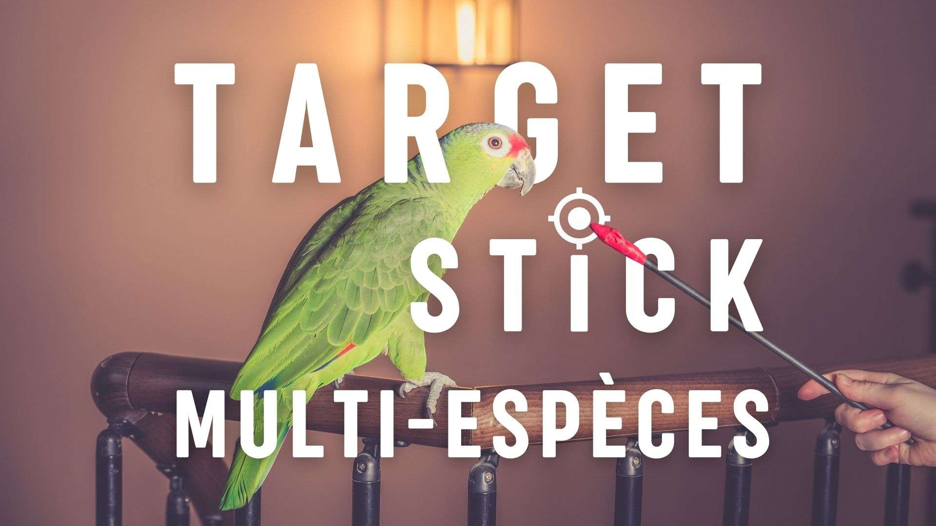 vignette target stick multi especes