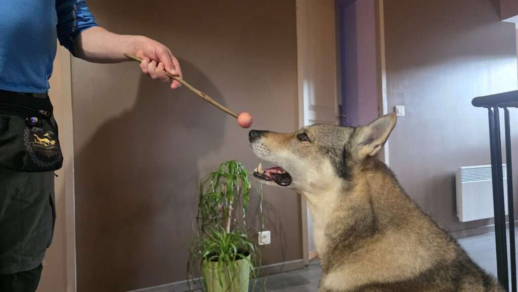 options photos couv' (1)