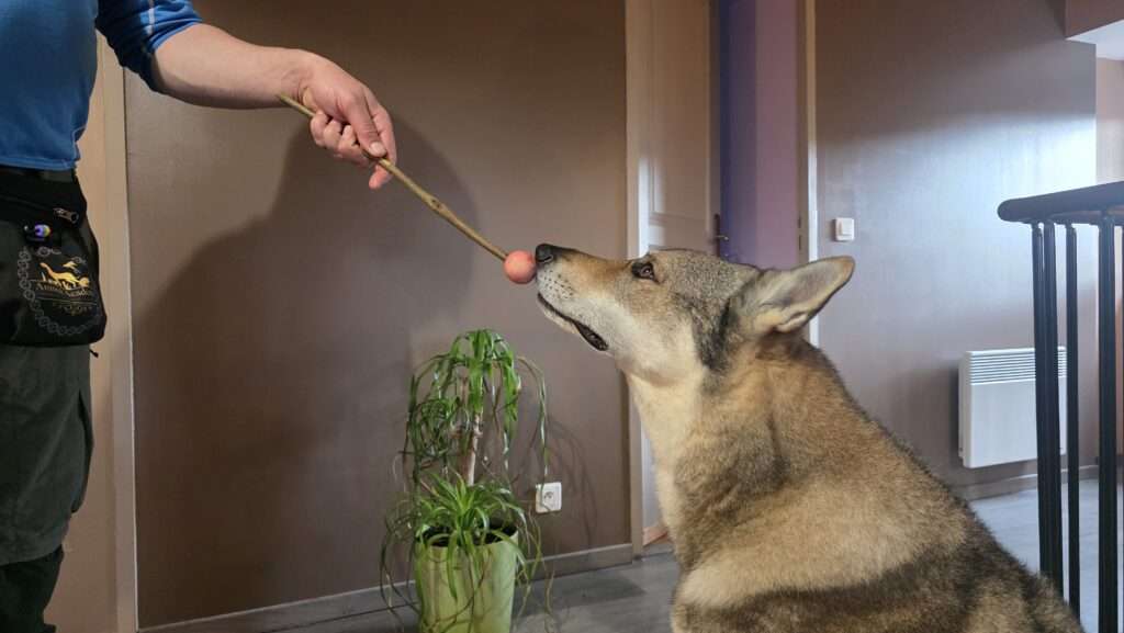 options photos couv' (2)