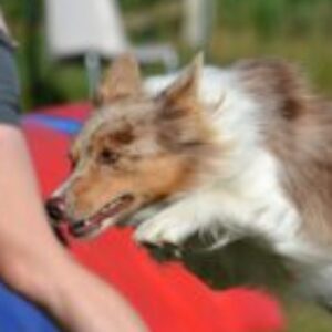 Photo de Profil de Elodie